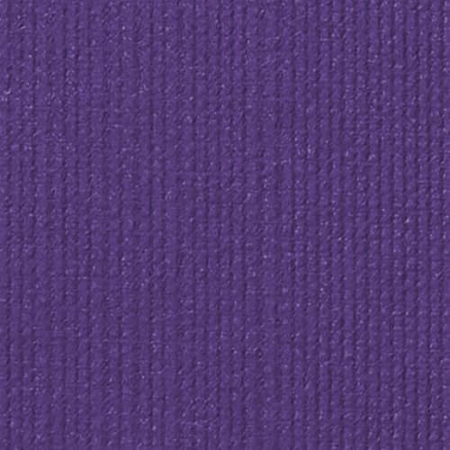 Manduka PRO Yoga Mat - 6mm | Lifetime Durability | Hygienic Construction | Premium Studio Quality | Teacher Approved