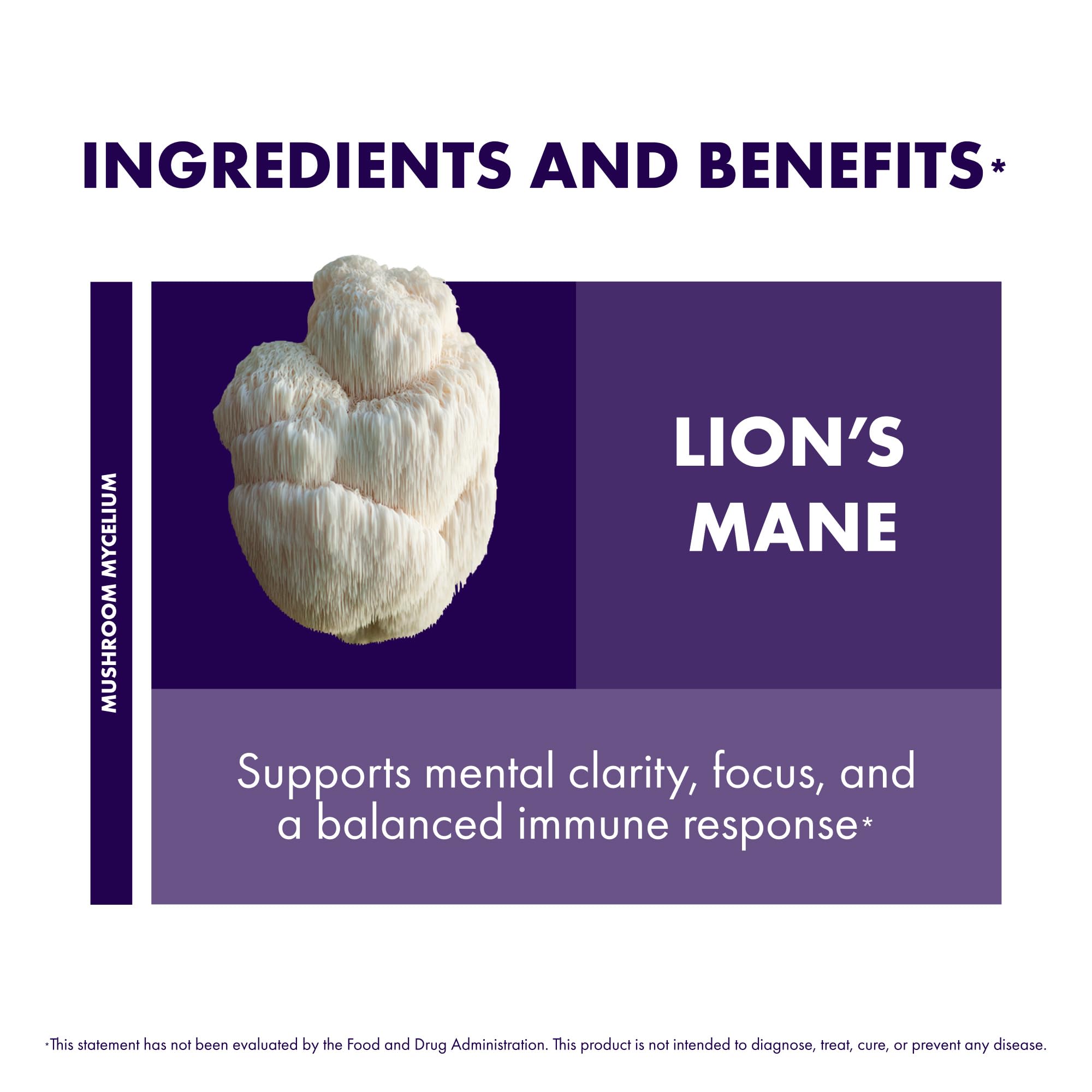 Host Defense Mushrooms Lion's Mane - Supplement Capsules for Brain Health Support - Mushroom Support for Focus & Memory Function - Immune & Nervous System Supplement - 60 Capsules