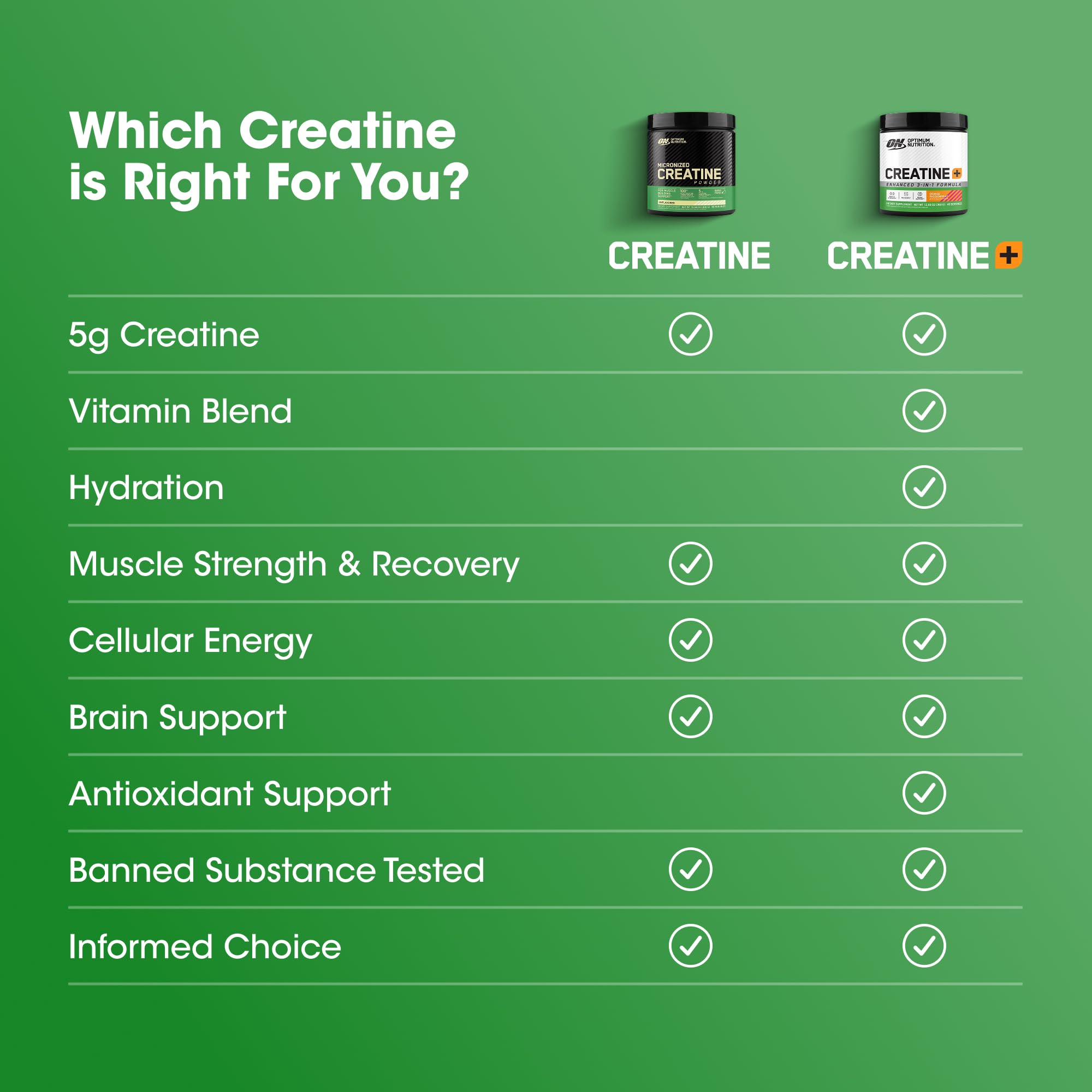 Optimum Nutrition Micronized Creatine Monohydrate Powder, Unflavored, 120 Servings, 600 Grams (Packaging May Vary)