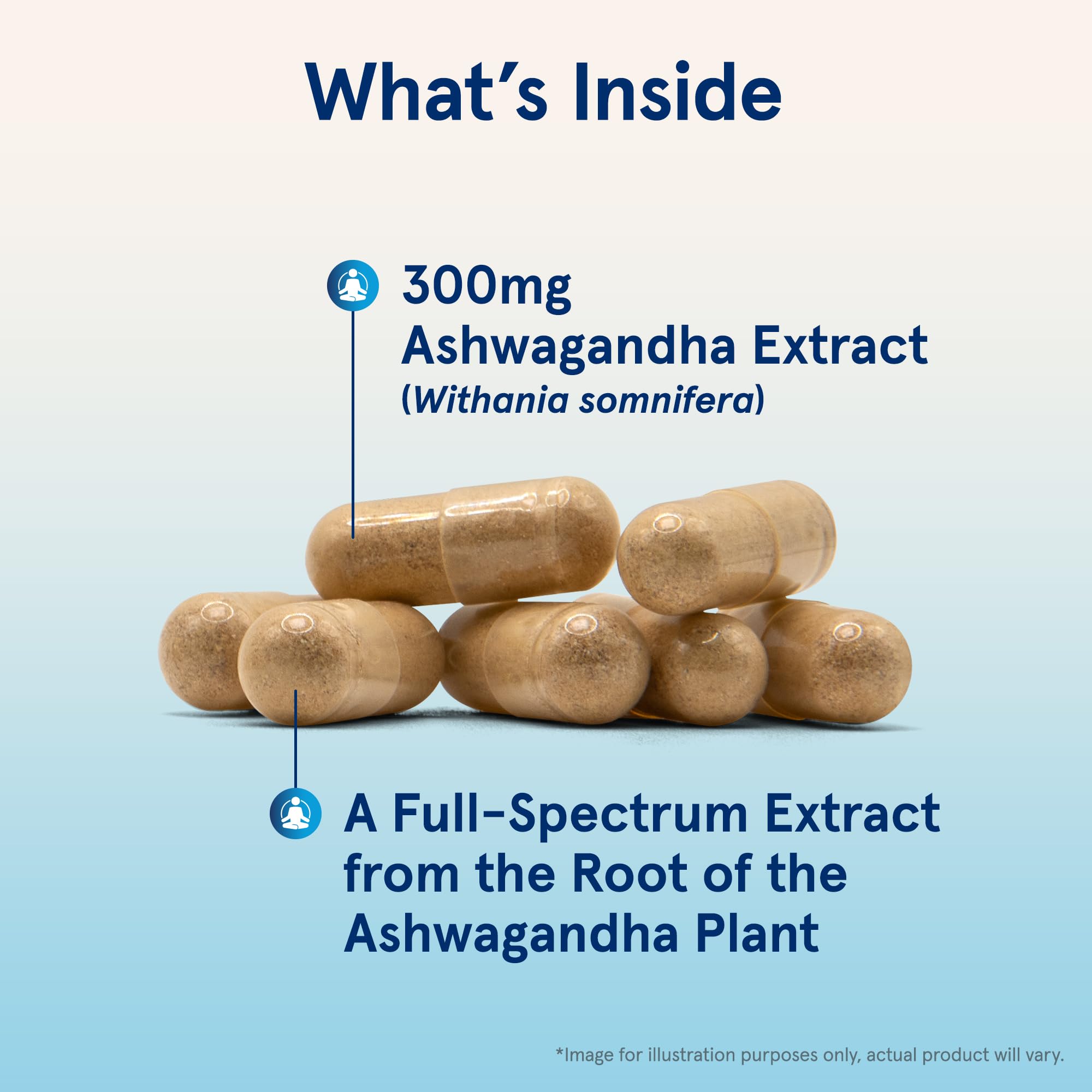 Jarrow Formulas Ashwagandha Capsules, 300 mg Supplement Supports Normalized Resistance to Mental and Physical Stress, 120 Veggie Capsules, 60 Day Supply