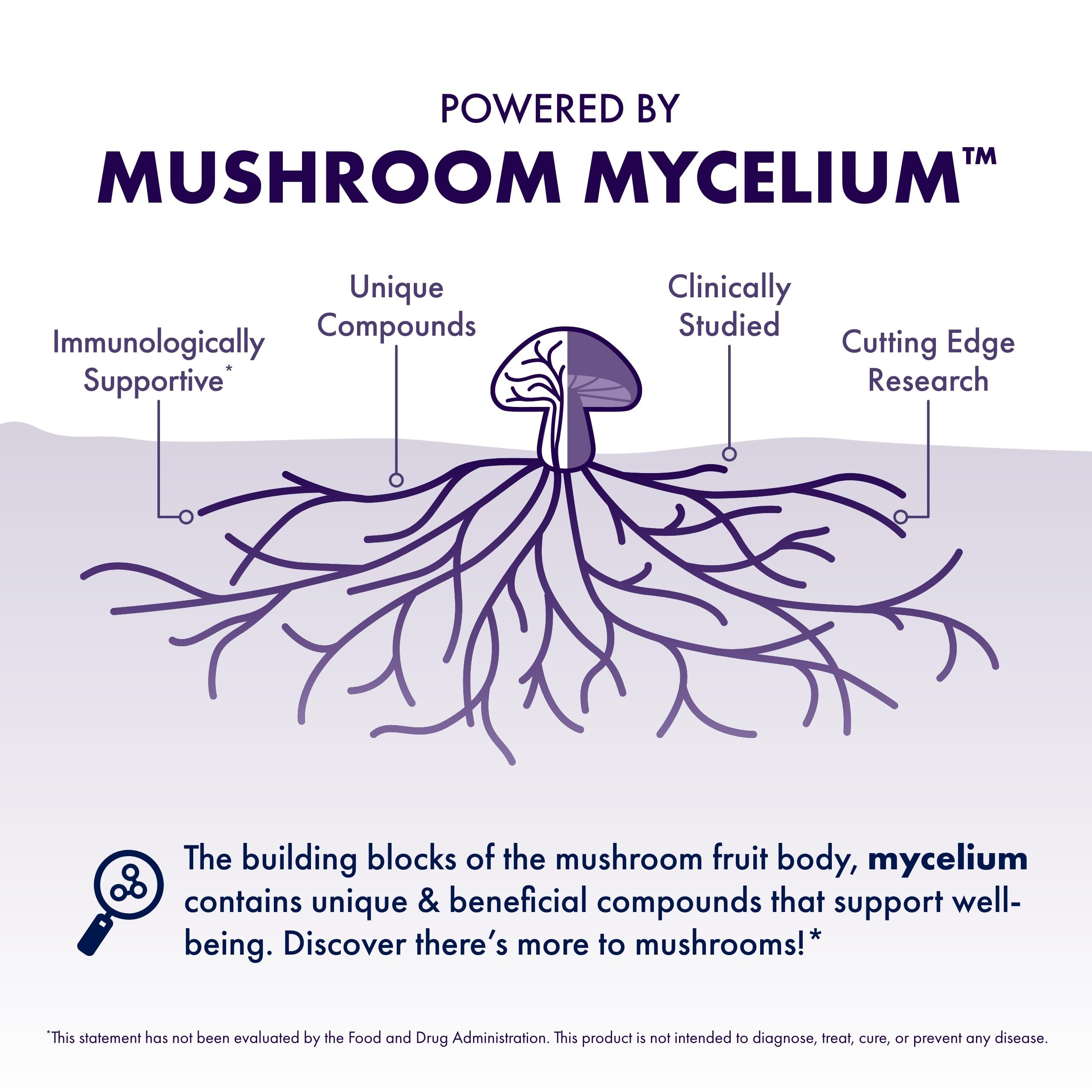 Host Defense Mushrooms Lion's Mane - Supplement Capsules for Brain Health Support - Mushroom Support for Focus & Memory Function - Immune & Nervous System Supplement - 60 Capsules