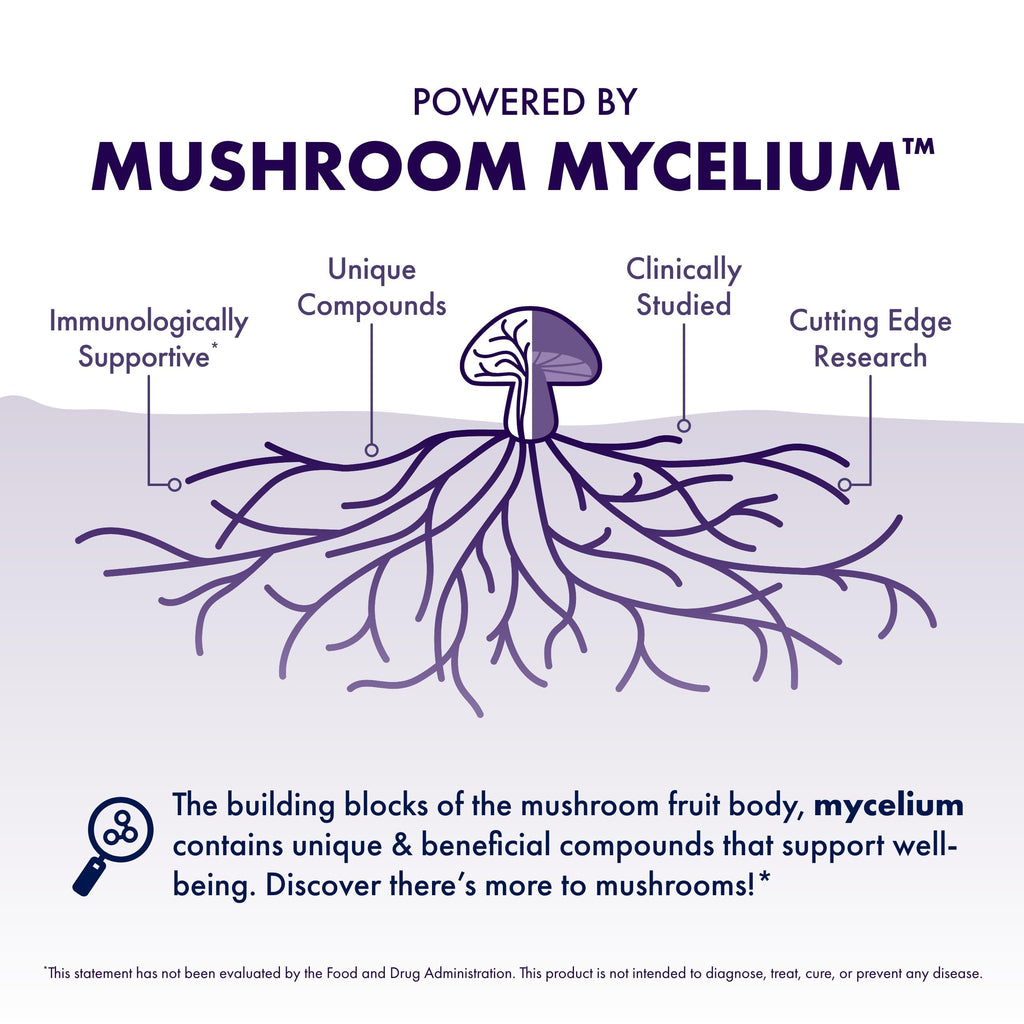 Host Defense Mushrooms Lion's Mane - Supplement Capsules for Brain Health Support - Mushroom Support for Focus & Memory Function - Immune & Nervous System Supplement - 60 Capsules